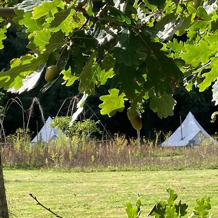 Au Pre Fleuri Eco Glamping Hotel Le Lindois Buitenkant foto