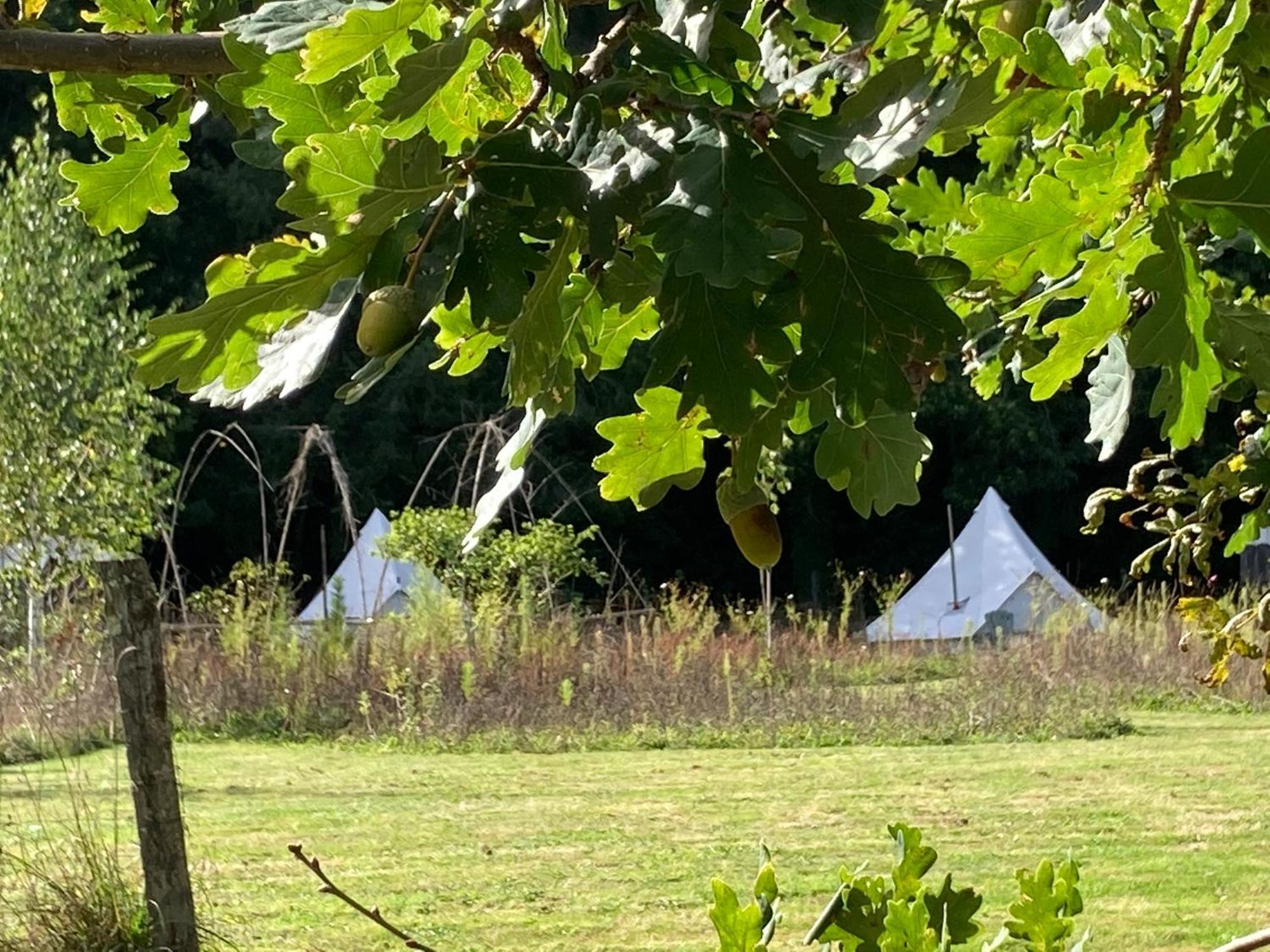 Au Pre Fleuri Eco Glamping Hotel Le Lindois Buitenkant foto